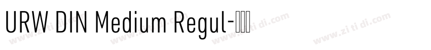 URW DIN Medium Regul字体转换